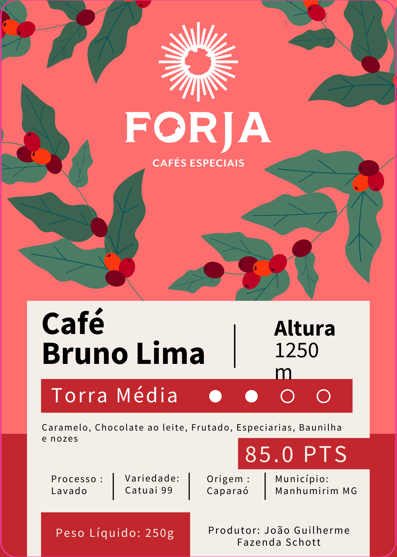 Página inicial